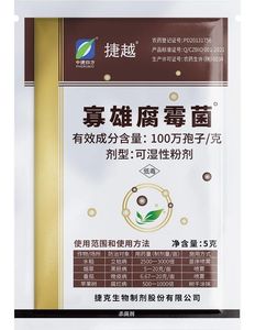 寡雄腐霉菌