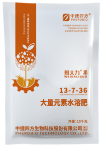 维大力 果