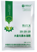 维大力 盛